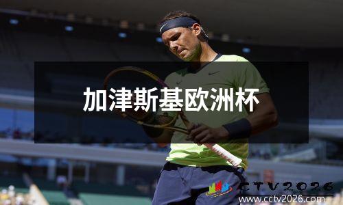 加津斯基欧洲杯