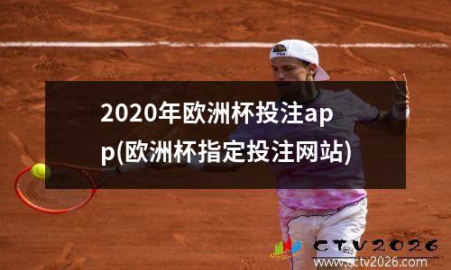 2020年欧洲杯投注app(欧洲杯指定投注网站)