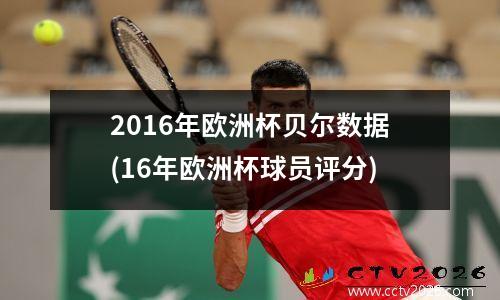 2016年欧洲杯贝尔数据(16年欧洲杯球员评分)