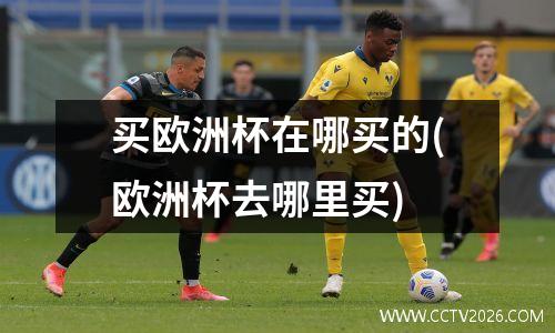 买欧洲杯在哪买的(欧洲杯去哪里买)