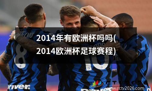 2014年有欧洲杯吗吗(2014欧洲杯足球赛程)