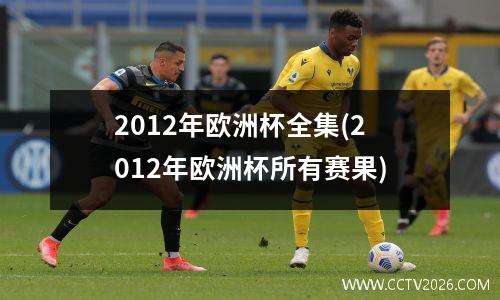 2012年欧洲杯全集(2012年欧洲杯所有赛果)