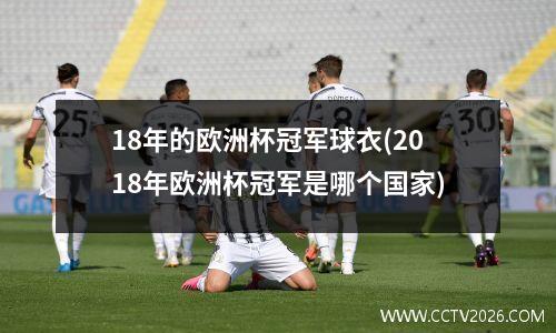18年的欧洲杯冠军球衣(2018年欧洲杯冠军是哪个国家)