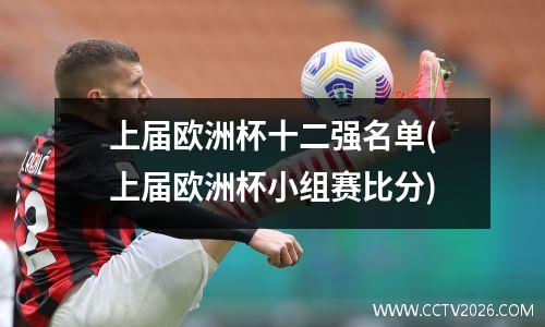 上届欧洲杯十二强名单(上届欧洲杯小组赛比分)