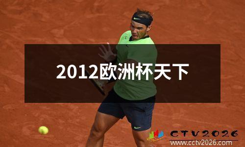 2012欧洲杯天下