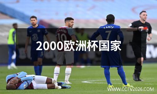 2000欧洲杯国家