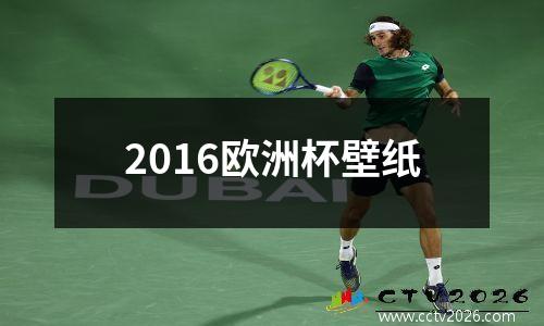 2016欧洲杯壁纸