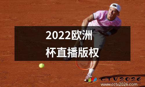 2022欧洲杯直播版权