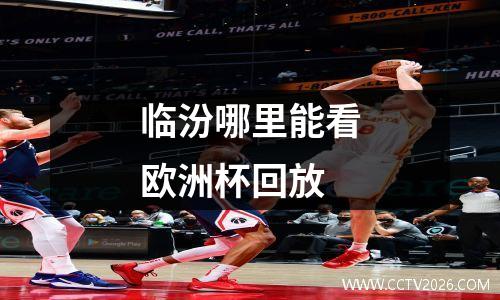 临汾哪里能看欧洲杯回放