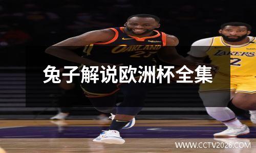 兔子解说欧洲杯全集
