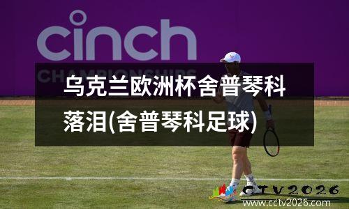 乌克兰欧洲杯舍普琴科落泪(舍普琴科足球)