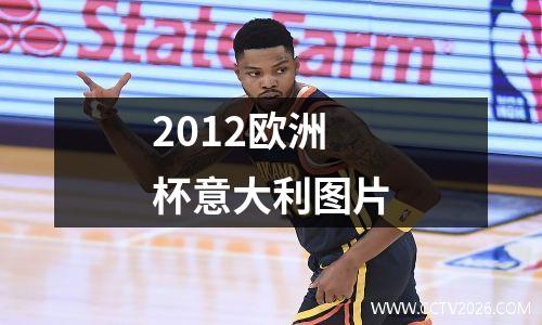 2012欧洲杯意大利图片