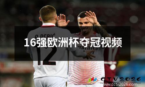 16强欧洲杯夺冠视频