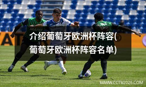 介绍葡萄牙欧洲杯阵容(葡萄牙欧洲杯阵容名单)