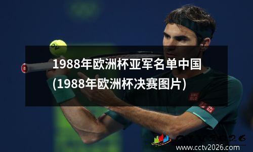 1988年欧洲杯亚军名单中国(1988年欧洲杯决赛图片)
