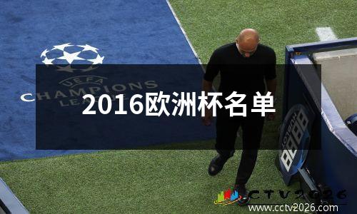 2016欧洲杯名单