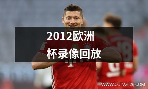2012欧洲杯录像回放