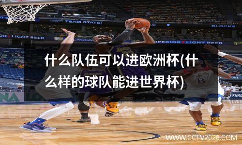 什么队伍可以进欧洲杯(什么样的球队能进世界杯)