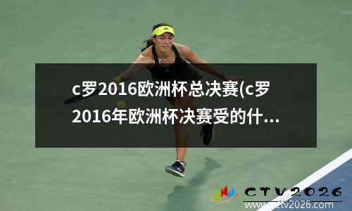 c罗2016欧洲杯总决赛(c罗2016年欧洲杯决赛受的什么伤)