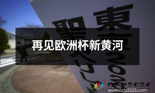 再见欧洲杯新黄河