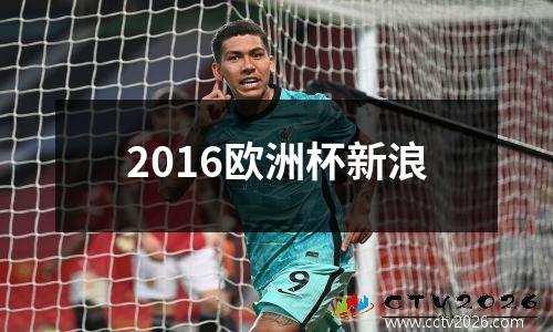 2016欧洲杯新浪