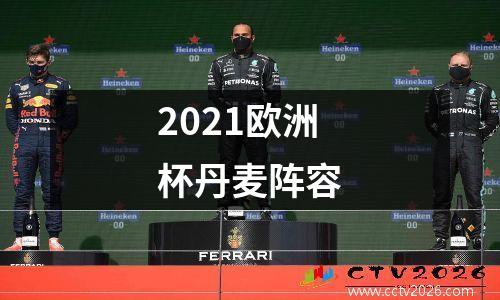 2021欧洲杯丹麦阵容