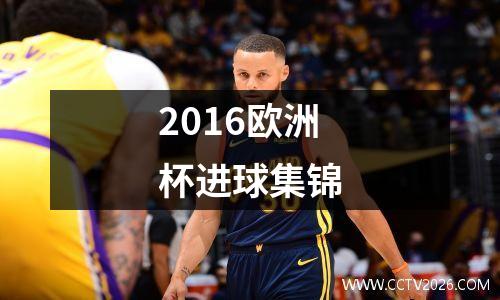 2016欧洲杯进球集锦