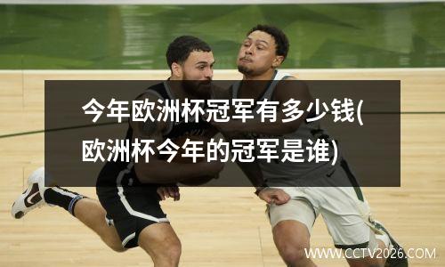 今年欧洲杯冠军有多少钱(欧洲杯今年的冠军是谁)