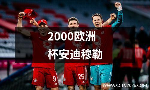 2000欧洲杯安迪穆勒