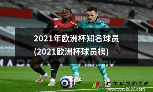 2021年欧洲杯知名球员(2021欧洲杯球员榜)