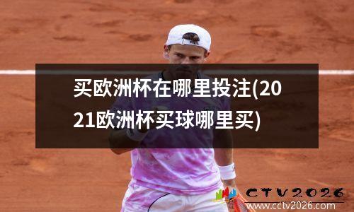 买欧洲杯在哪里投注(2021欧洲杯买球哪里买)