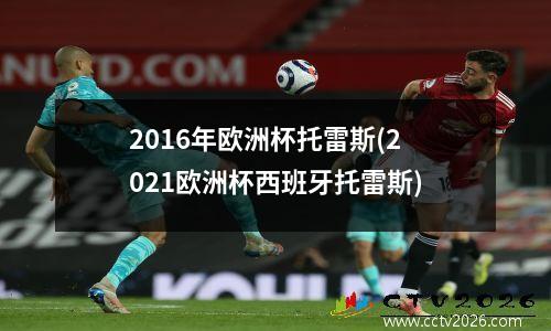 2016年欧洲杯托雷斯(2021欧洲杯西班牙托雷斯)