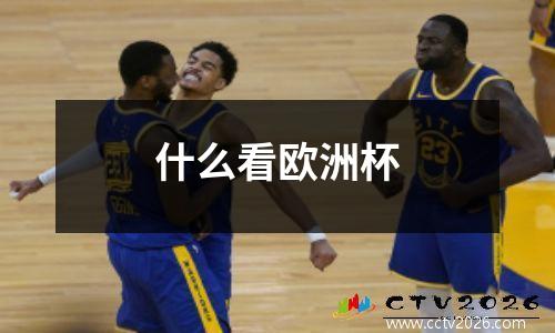 什么看欧洲杯