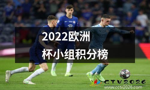 2022欧洲杯小组积分榜