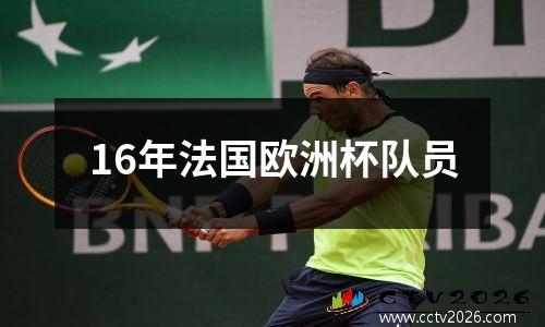 16年法国欧洲杯队员