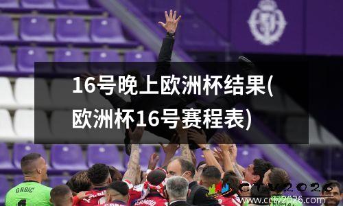 16号晚上欧洲杯结果(欧洲杯16号赛程表)