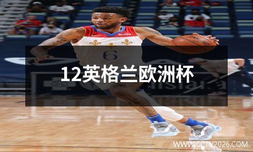12英格兰欧洲杯