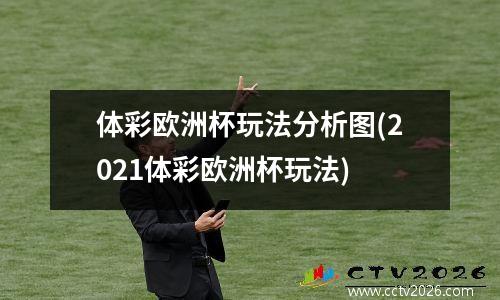 体彩欧洲杯玩法分析图(2021体彩欧洲杯玩法)