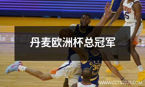 丹麦欧洲杯总冠军