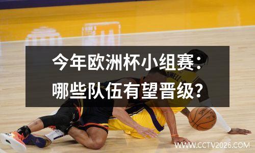今年欧洲杯小组赛：哪些队伍有望晋级？