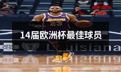 14届欧洲杯最佳球员