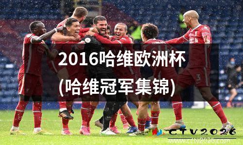 2016哈维欧洲杯(哈维冠军集锦)