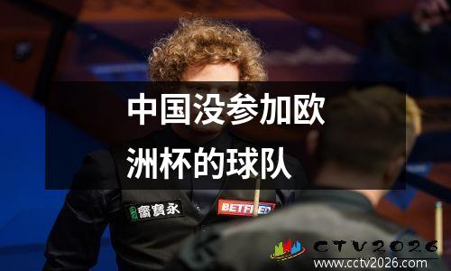 中国没参加欧洲杯的球队