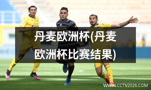 丹麦欧洲杯(丹麦欧洲杯比赛结果)