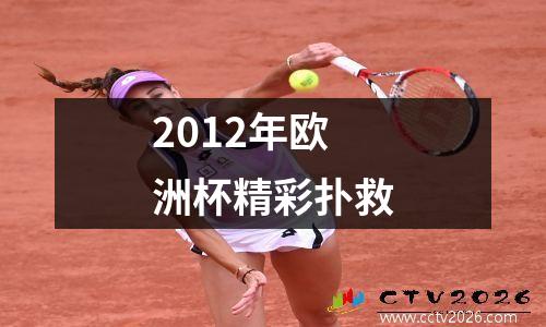 2012年欧洲杯精彩扑救