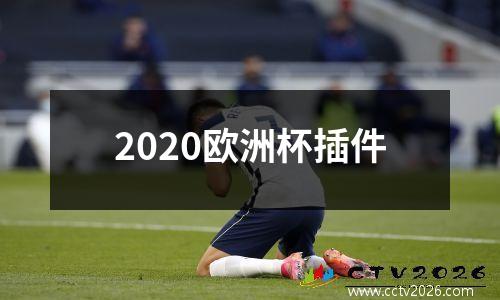 2020欧洲杯插件