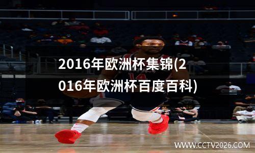 2016年欧洲杯集锦(2016年欧洲杯百度百科)