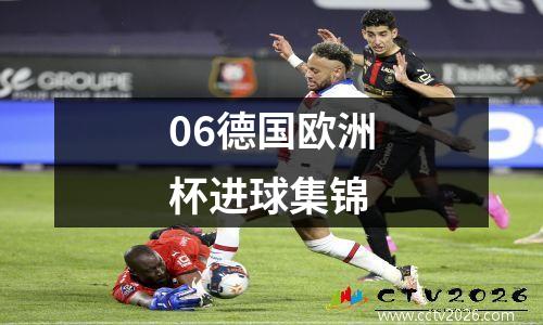 06德国欧洲杯进球集锦