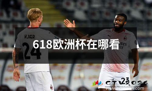 618欧洲杯在哪看