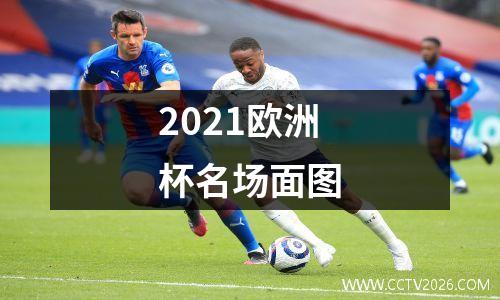 2021欧洲杯名场面图